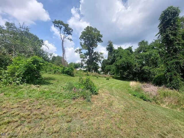 Cunningham Ln, Steubenville, OH 43953 - photo 11
