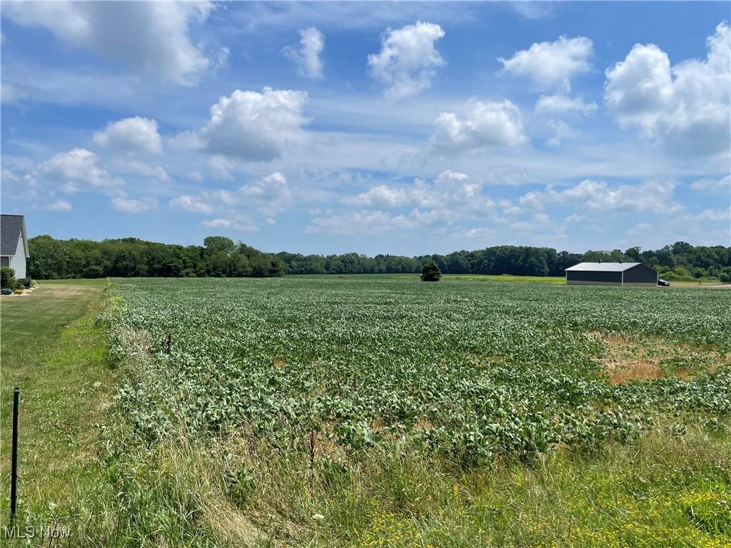 5464 Taylor Rd, Norton, OH 44203 - photo 2