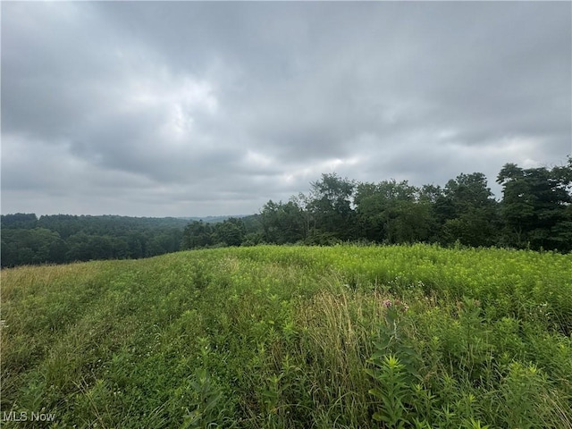 Flint Ridge Rd, Hopewell, OH 43746 - photo 8