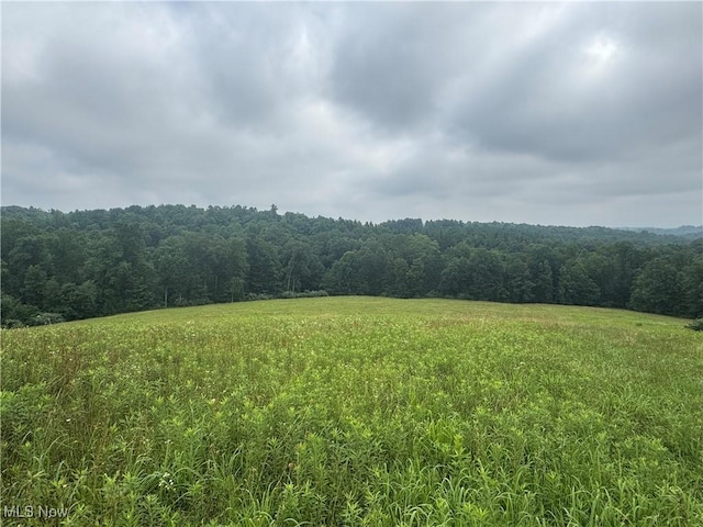 Flint Ridge Rd, Hopewell, OH 43746 - photo 9