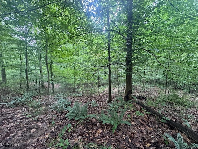 Flint Ridge Rd, Hopewell, OH 43746 - photo 10