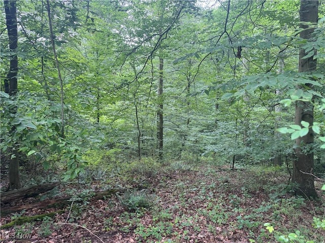 Flint Ridge Rd, Hopewell, OH 43746 - photo 11