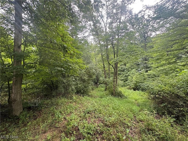 Flint Ridge Rd, Hopewell, OH 43746 - photo 12