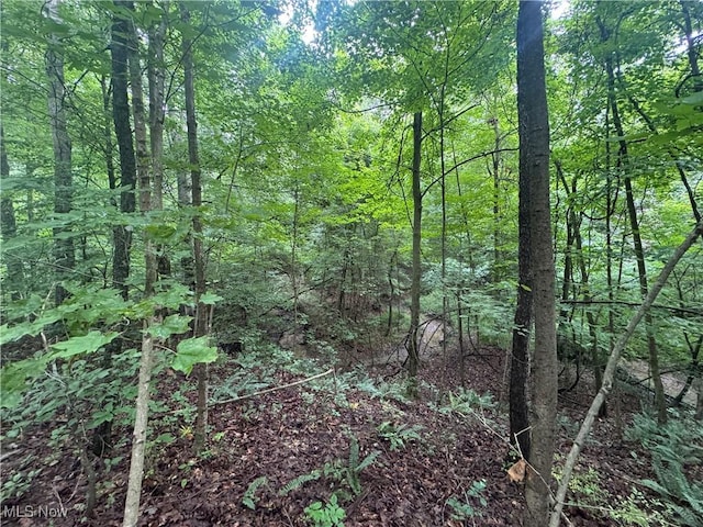 Flint Ridge Rd, Hopewell, OH 43746 - photo 13