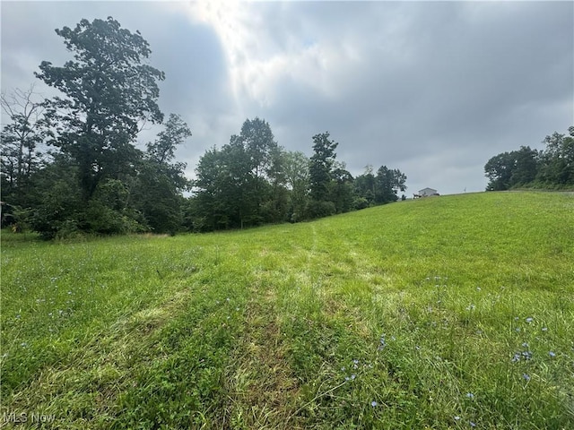 Flint Ridge Rd, Hopewell, OH 43746 - photo 3