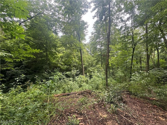Flint Ridge Rd, Hopewell, OH 43746 - photo 4