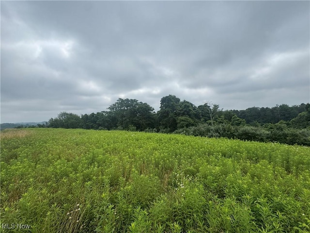 Flint Ridge Rd, Hopewell, OH 43746 - photo 6