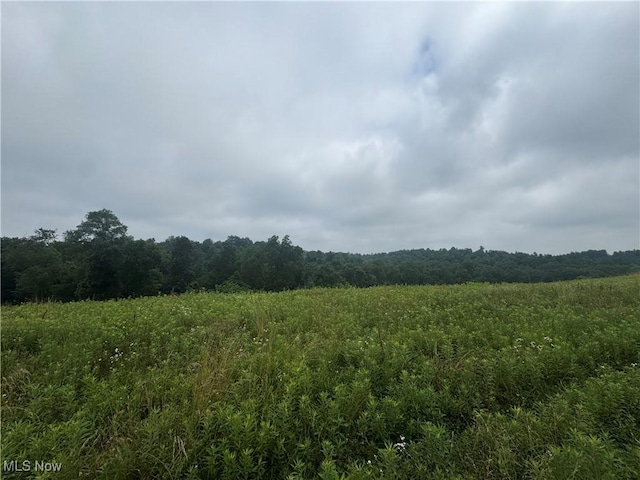 Flint Ridge Rd, Hopewell, OH 43746 - photo 7