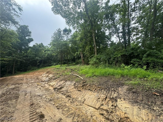Flint Ridge Rd, Hopewell, OH 43746 - photo 15