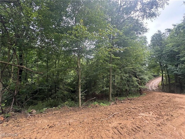 Flint Ridge Rd, Hopewell, OH 43746 - photo 16