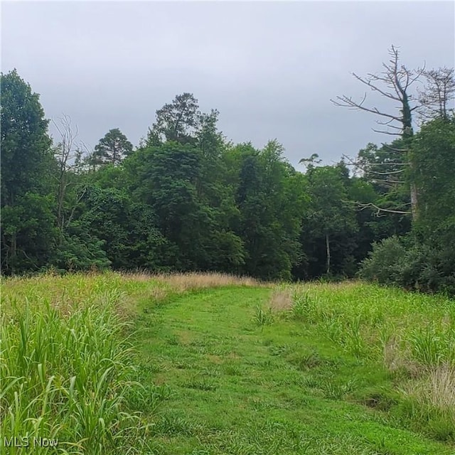 Flint Ridge Rd, Hopewell, OH 43746 - photo 22