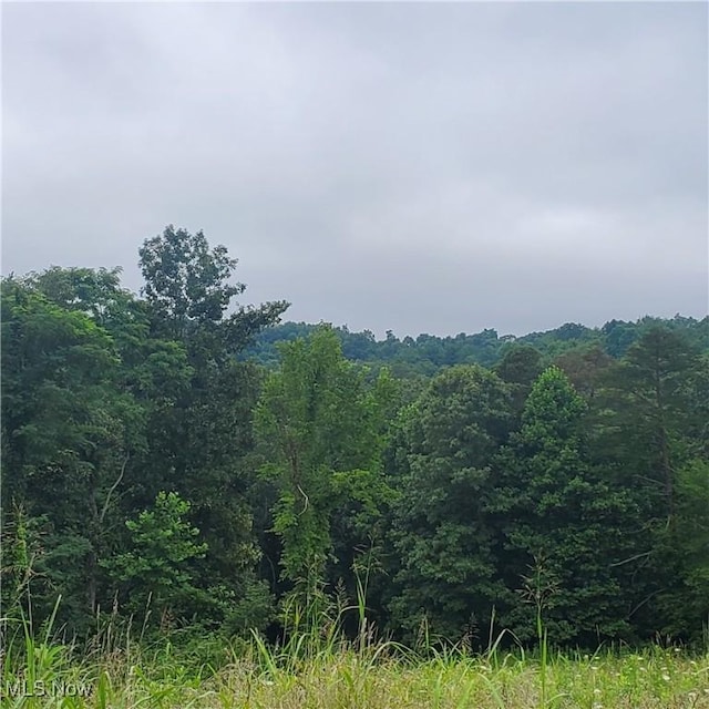 Flint Ridge Rd, Hopewell, OH 43746 - photo 23