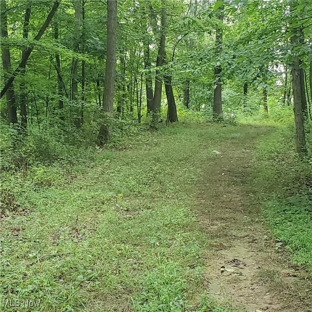 Flint Ridge Rd, Hopewell, OH 43746 - photo 24