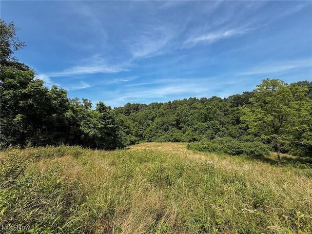 Coler Rd, Malta, OH 43758 - photo 1
