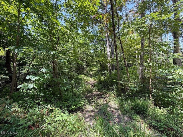 Coler Rd, Malta, OH 43758 - photo 2