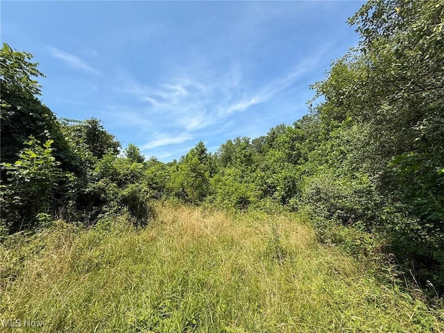 Coler Rd, Malta, OH 43758 - photo 5