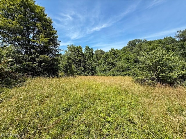 Coler Rd, Malta, OH 43758 - photo 6