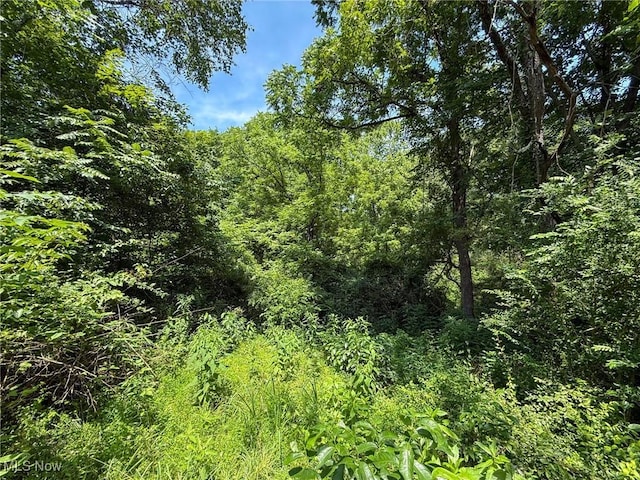 Coler Rd, Malta, OH 43758 - photo 10