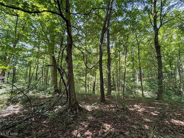 Coler Rd, Malta, OH 43758 - photo 38