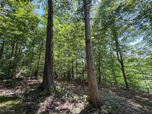 Coler Rd, Malta, OH 43758 - photo 39