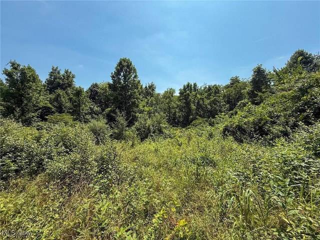 Coler Rd, Malta, OH 43758 - photo 22