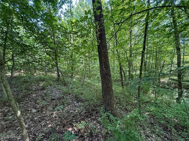 Coler Rd, Malta, OH 43758 - photo 24
