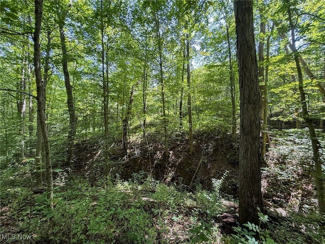 Coler Rd, Malta, OH 43758 - photo 25