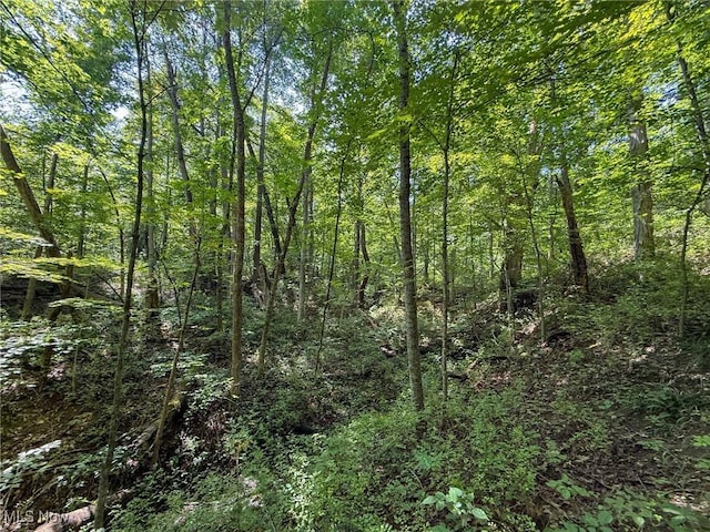 Coler Rd, Malta, OH 43758 - photo 26