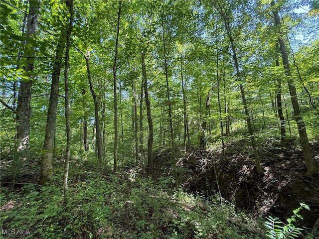Coler Rd, Malta, OH 43758 - photo 27