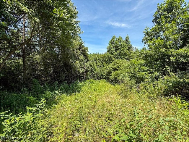Coler Rd, Malta, OH 43758 - photo 28