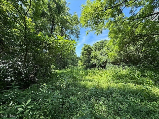 Coler Rd, Malta, OH 43758 - photo 30