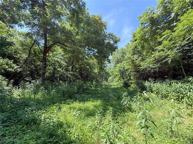 Coler Rd, Malta, OH 43758 - photo 32