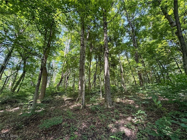 Coler Rd, Malta, OH 43758 - photo 34