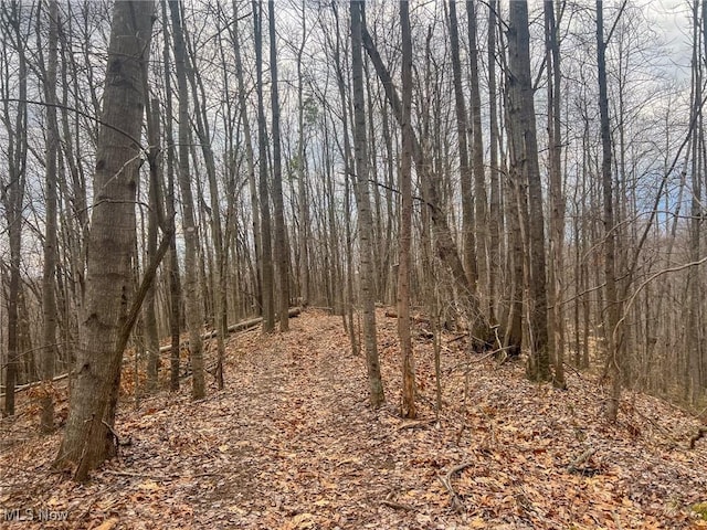 Ponetown Rd, Ray, OH 45672 - photo 7
