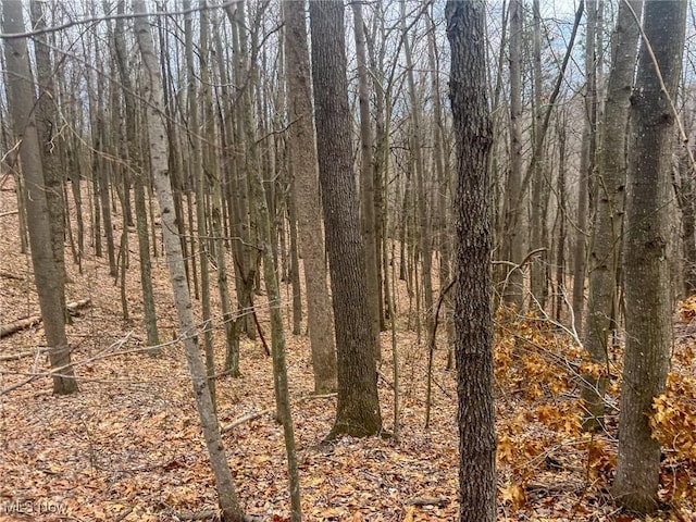Ponetown Rd, Ray, OH 45672 - photo 8