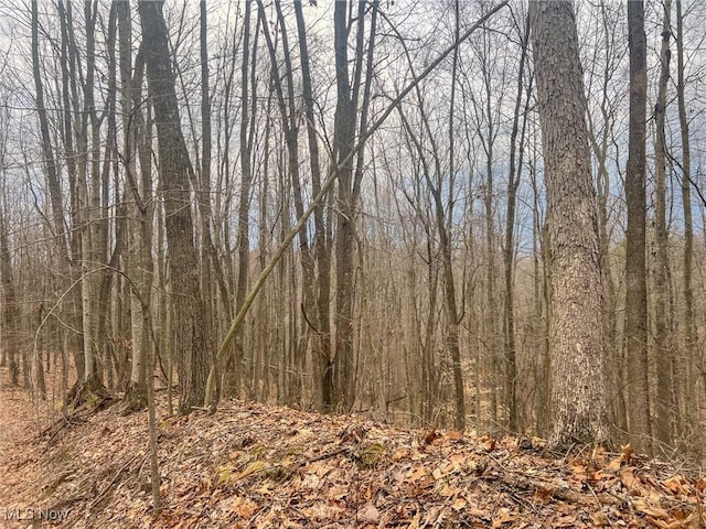 Ponetown Rd, Ray, OH 45672 - photo 9