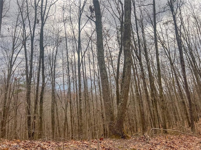 Ponetown Rd, Ray, OH 45672 - photo 12