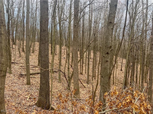 Ponetown Rd, Ray, OH 45672 - photo 14