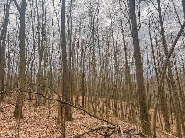 Ponetown Rd, Ray, OH 45672 - photo 15