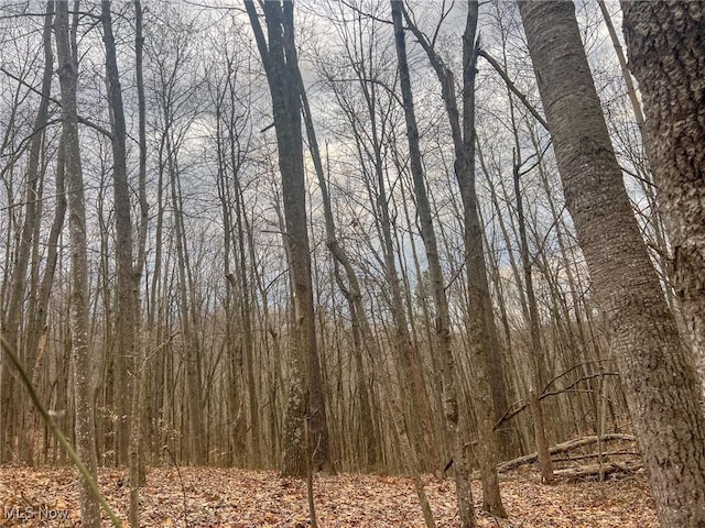 Ponetown Rd, Ray, OH 45672 - photo 16