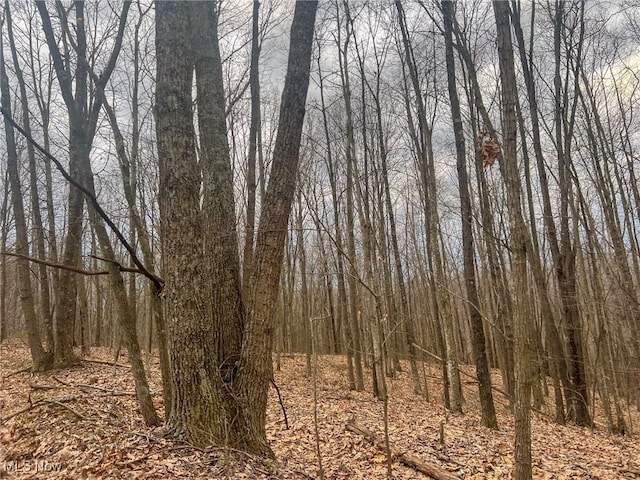 Ponetown Rd, Ray, OH 45672 - photo 18
