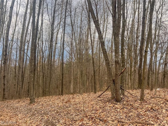 Ponetown Rd, Ray, OH 45672 - photo 4
