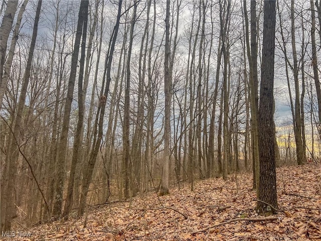 Ponetown Rd, Ray, OH 45672 - photo 5