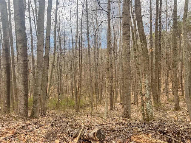 Ponetown Rd, Ray, OH 45672 - photo 6