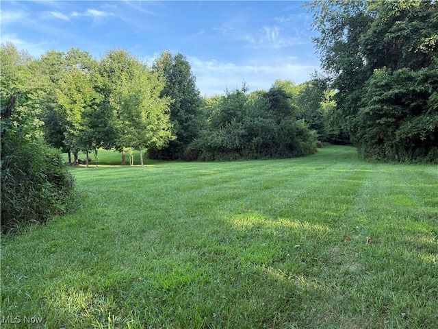 3670 State Route 303, Ravenna, OH 44266 - photo 1