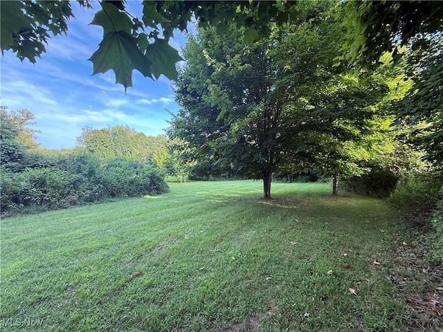3670 State Route 303, Ravenna, OH 44266 - photo 5