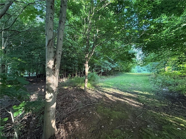 3670 State Route 303, Ravenna, OH 44266 - photo 6