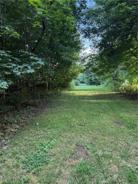 3670 State Route 303, Ravenna, OH 44266 - photo 7