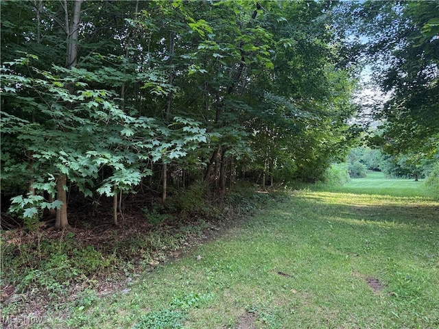 3670 State Route 303, Ravenna, OH 44266 - photo 8