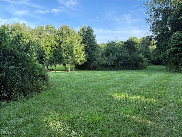 3670 State Route 303, Ravenna, OH 44266 - photo 9